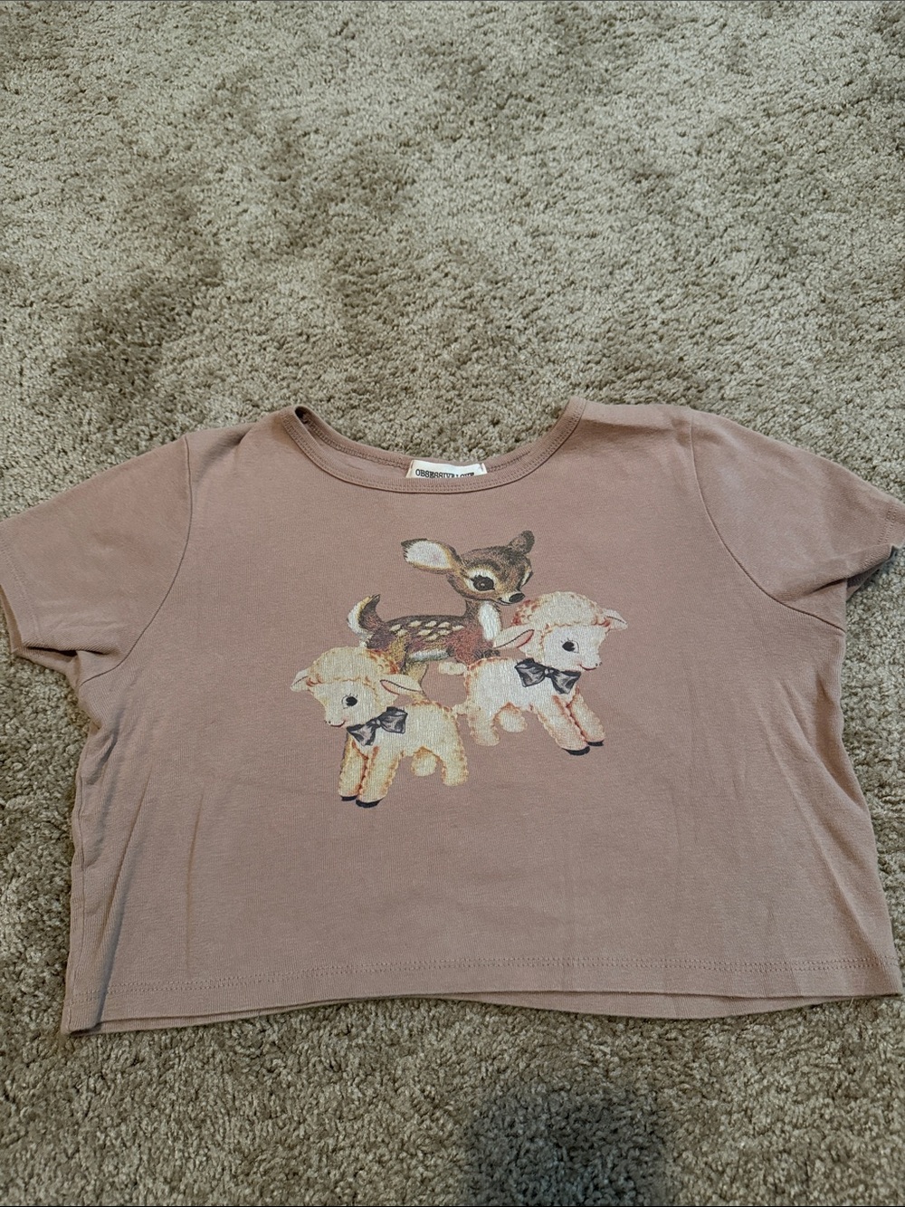 Graphic Crop Top Deer and Lamb Print 🧡